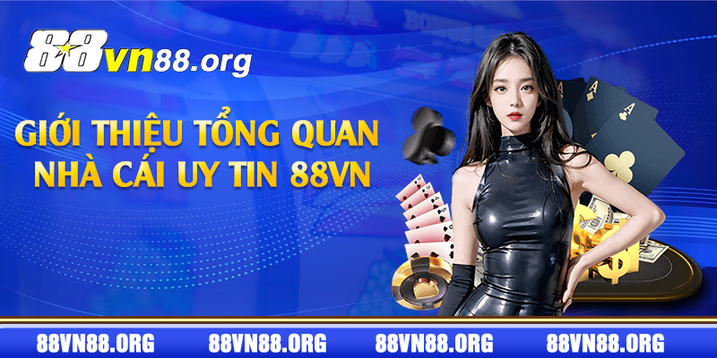 Thông tin cần biết khi nhắc đến 88VN